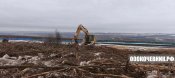 Расчистка участков от 1 га под «ключ»